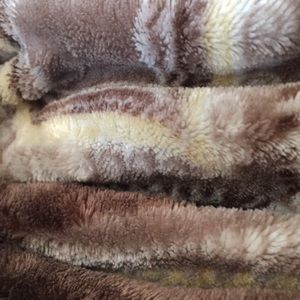 Meet your Posher, Shaunda